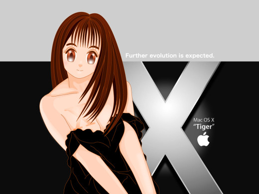 383946 (a): :1024x768